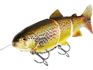 Swimbaits