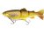 Real trout