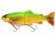 Firetiger trout