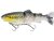 Headlight Deluxe trout