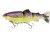 Ghost trout