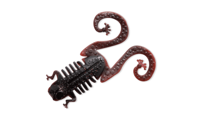 Zoom bild av Monkey Frog 7cm