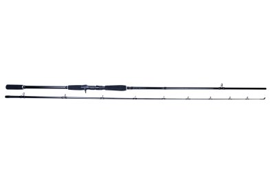 Zoom bild av SZ Black Series The Horizon Reefhunter 9/ 40-200g Casting
