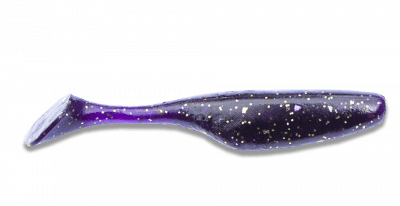 Zoom bild av june bug