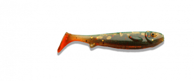 Zoom bild av motorpike