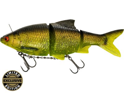 Zoom bild av Ricky the roach secret uv roach
