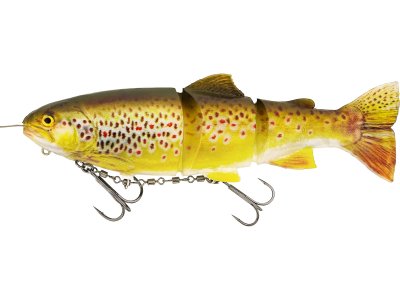 Zoom bild av Real trout