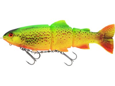 Zoom bild av Firetiger trout