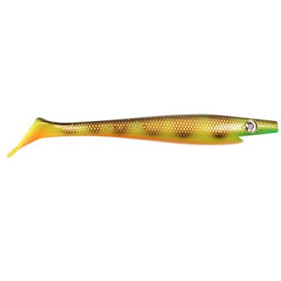 Zoom bild av Orange belly perch