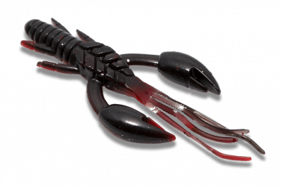 Zoom bild av red&black