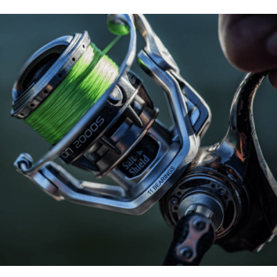 Zoom bild av Renz Braid X12