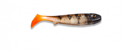 Zoom bild av transparentperch